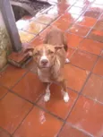 Lility