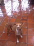 Lility