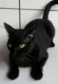 Pelé
