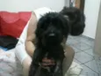 lucky