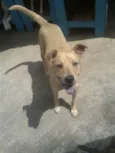 Nick