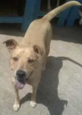 Nick