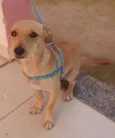 Faísca