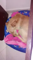 Faísca