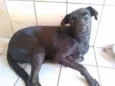 Preta