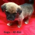 Gugu e Kiko
