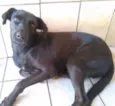 Preta