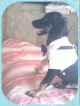 Vitor