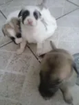 Fred,Pablo,Mabi(ama