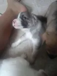 Fred,Pablo,Mabi(ama
