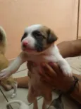 Fred,Pablo,Mabi(ama