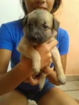 Fred,Pablo,Mabi(ama