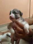 Fred,Pablo,Mabi(ama