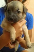 Fred,Pablo,Mabi(ama