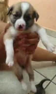 Fred,Pablo,Mabi(ama