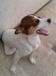 Meg