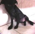 Pretinho