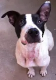 Zeus
