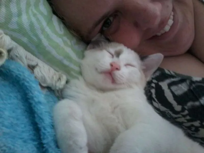 Gato ra a SRD idade 2 a 6 meses nome nene