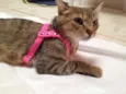 Mimi