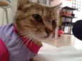 Mimi