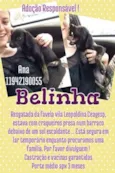 Belinha