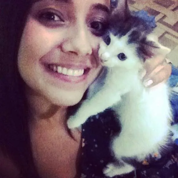 Gato ra a Vira-lata idade Abaixo de 2 meses nome Leitinho