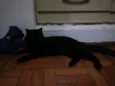 Maât