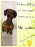 Nica
