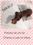 Nica