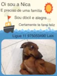 Nica