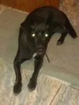 DESCONHECIDO