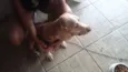 Bamby