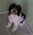 Mike
