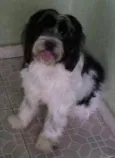Mike