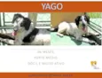 YAGO FILHOTE