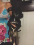 Lindinhos