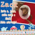 Zack (Canil SJ) #SPC