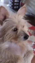 Bilu