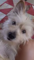 Bilu