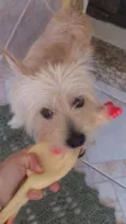 Bilu