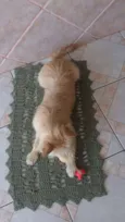 Bilu