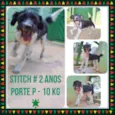 STITCH,  rapazinho 