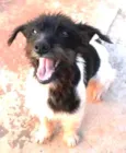Kiara