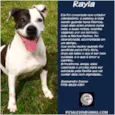 RAYLA