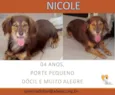 NICOLE PEQUENA