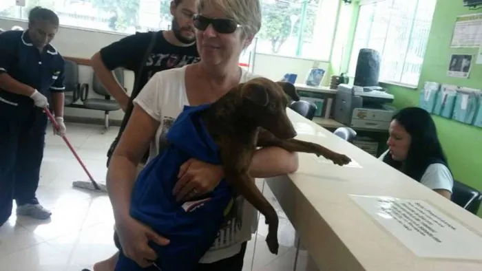 Cachorro ra a Vira-lata idade 7 a 11 meses nome Max