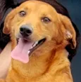 OZZY PEQUENINO