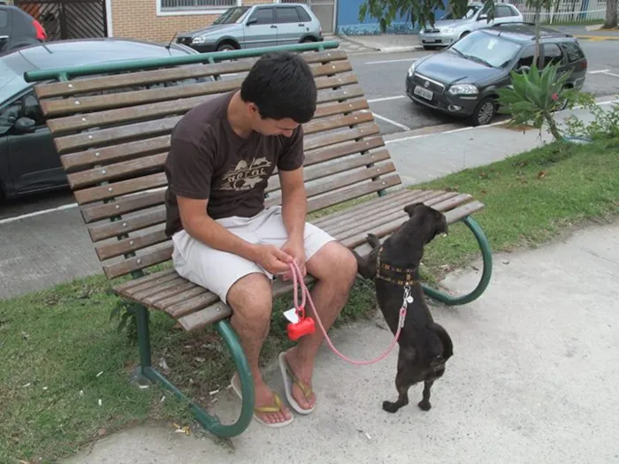 Cachorro raça SRD idade 1 ano nome kika