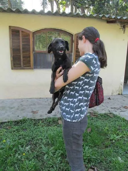 Cachorro raça SRD idade 1 ano nome kika